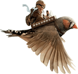 Institute of VFX & Animation